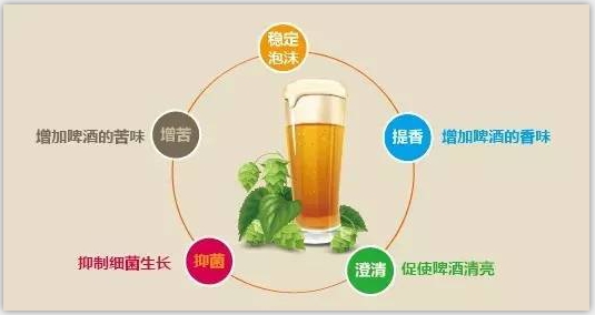 精釀啤酒設(shè)備